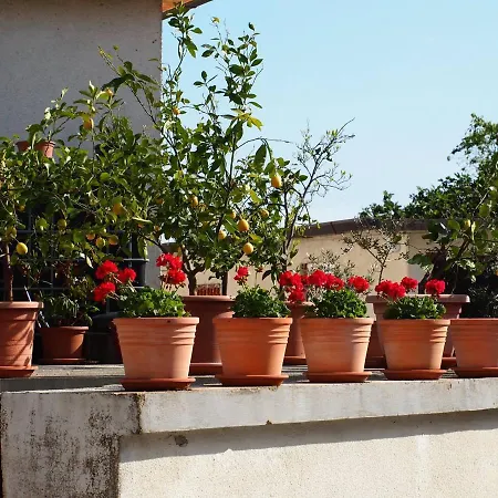 Istrian Houses Padna بيت للعطل